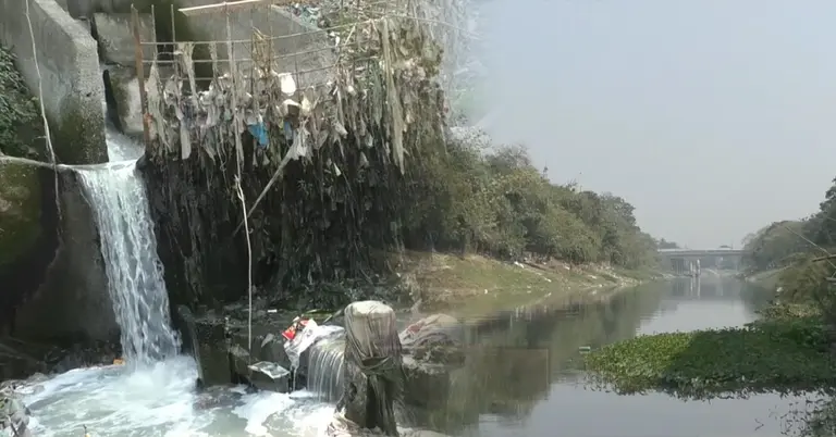 দূষণে মৃতপ্রায় চুয়াডাঙ্গায় মাথাভাঙ্গা নদী